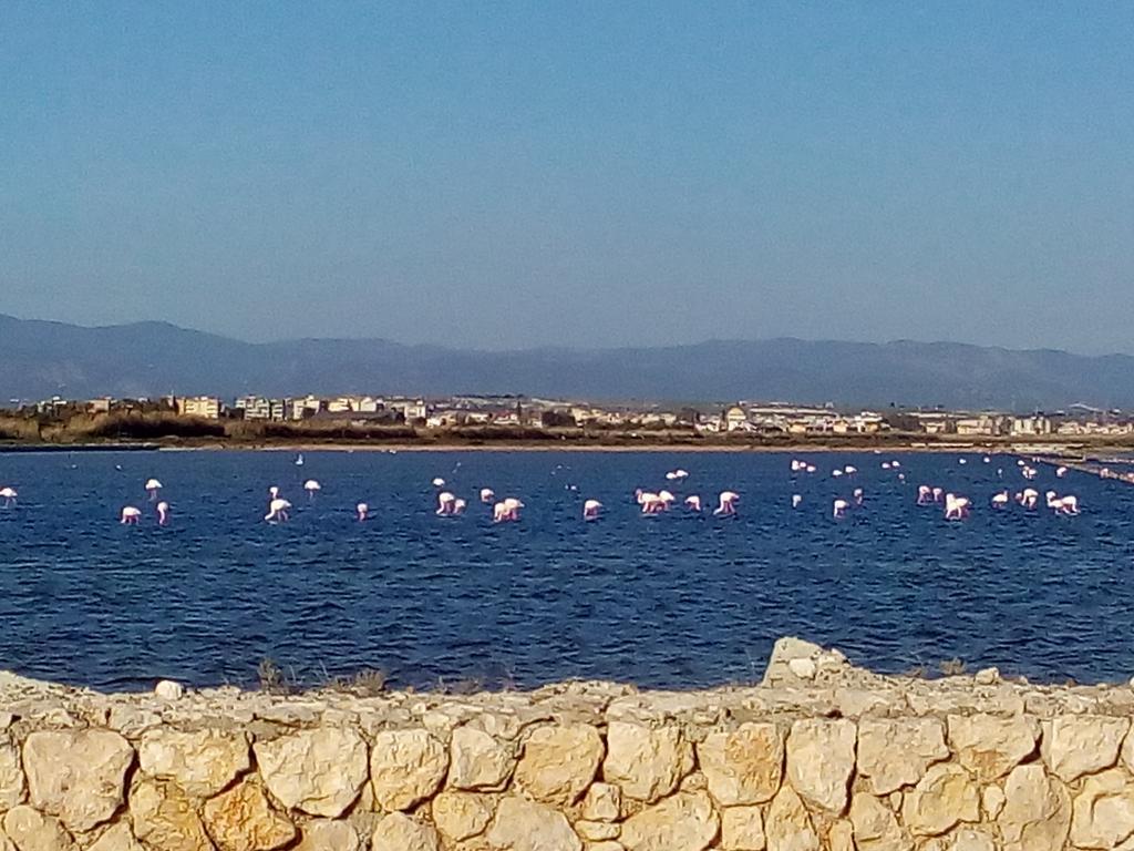 Casa Vacanze Paola Quartu SantʼElena Dış mekan fotoğraf
