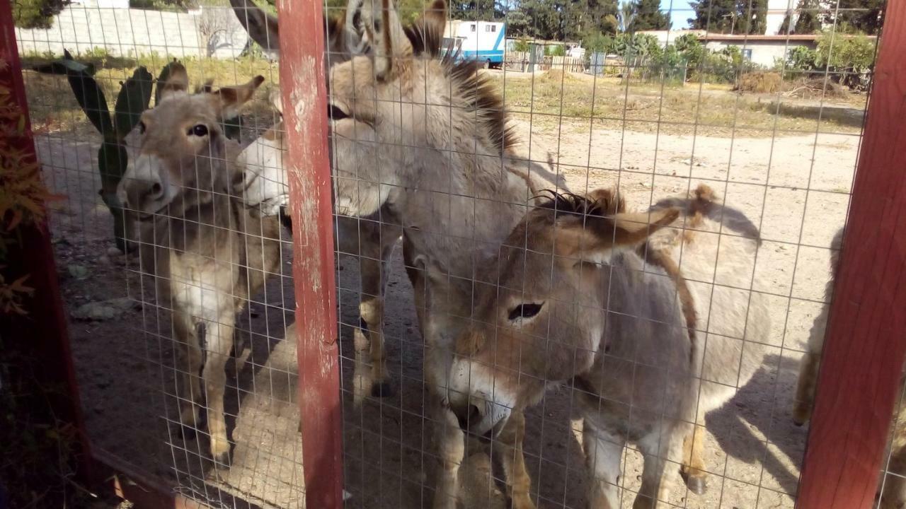Casa Vacanze Paola Quartu SantʼElena Dış mekan fotoğraf